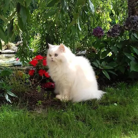 Le Jardin De Nemo Отель типа 