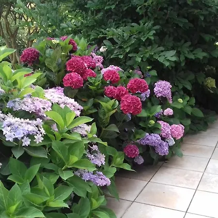 Le Jardin De Nemo * Бискаррос