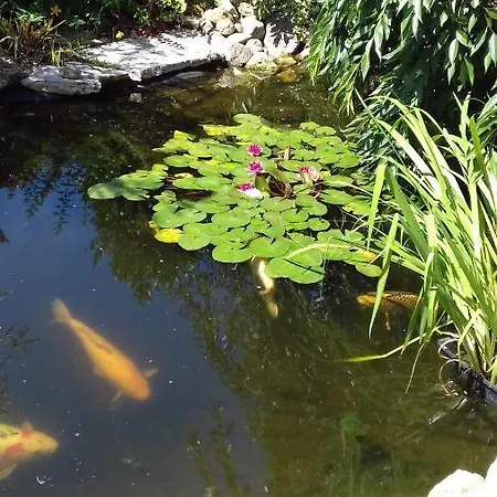 Bed & Breakfast Le Jardin De Nemo *